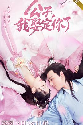 公子，我娶定你了(全集)