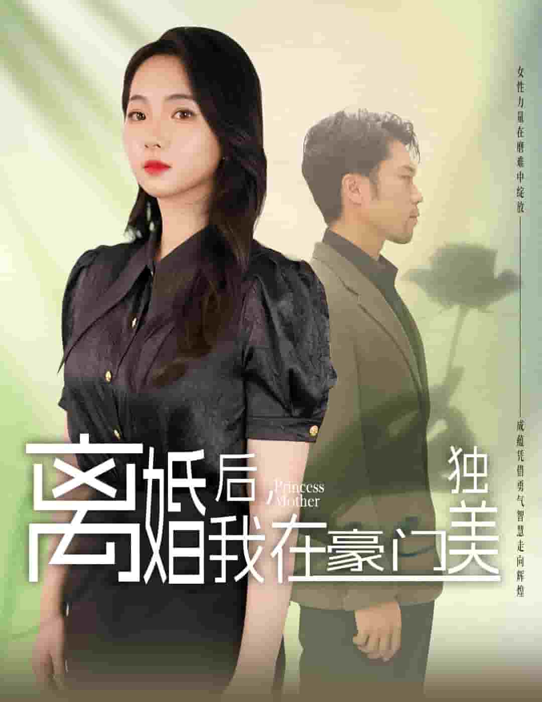 離婚后，我在豪門獨(dú)美(全集)