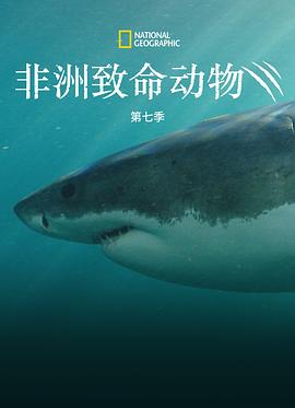 非洲致命動(dòng)物第七季(全集)