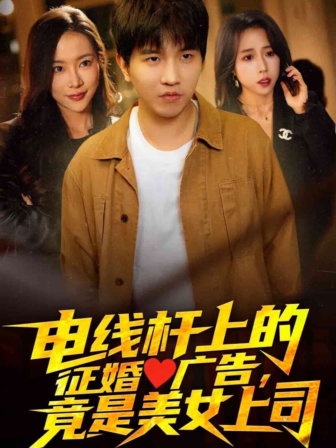 電線桿上的征婚廣告，竟是美女上司(全集)