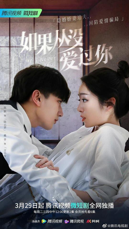 如果從沒(méi)愛(ài)過(guò)你(全集)