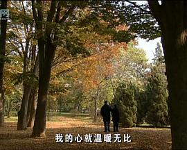 花落時(shí)節(jié)