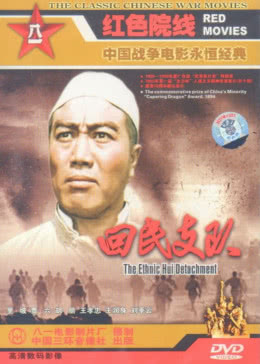 回民支隊(duì)(全集)