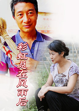 彩虹總在風(fēng)雨后(全集)